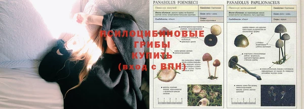 прущие крисы Алексин