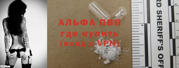 прущие грибы Елабуга