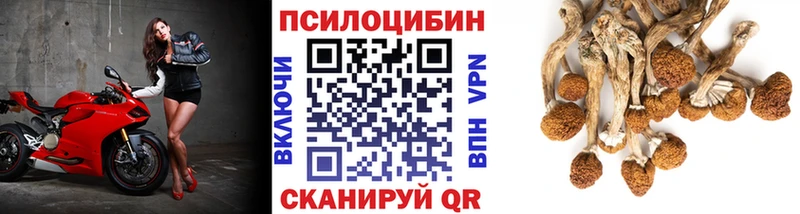 купить наркотик Первоуральск Галлюциногенные грибы прущие грибы