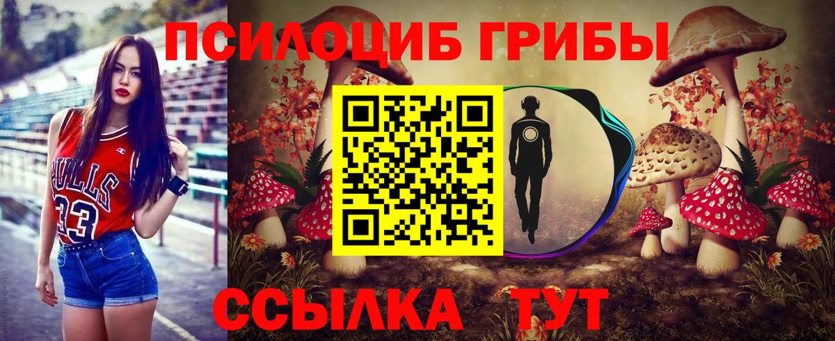 Псилоцибиновые грибы Magic Shrooms Первоуральск